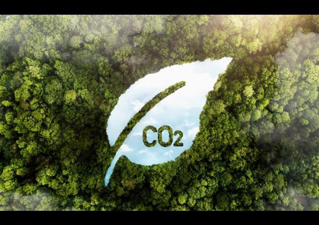 Advancing Low-Carbon Transition